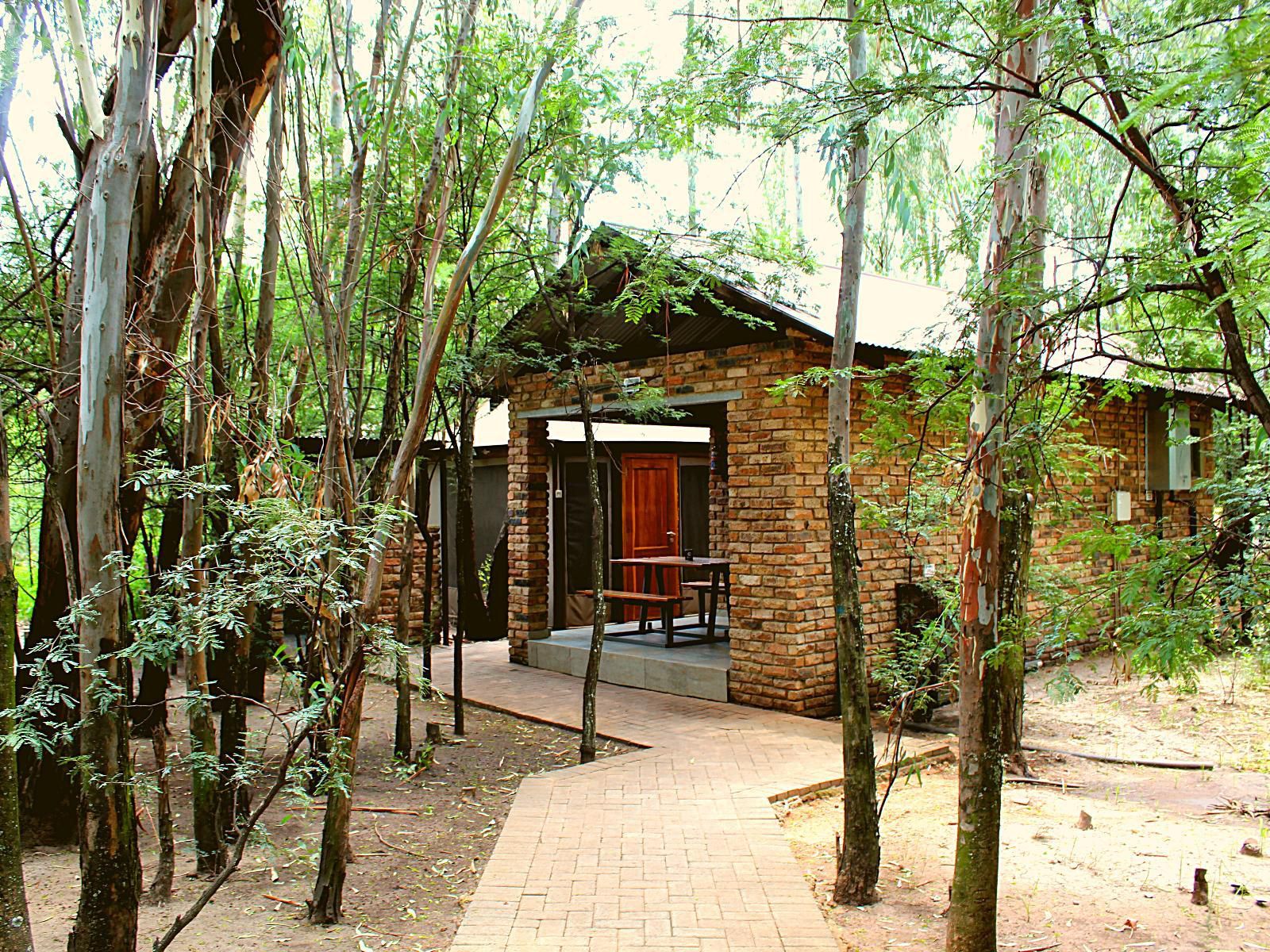 Casa Cara Resort Vaal Eden Free State South Africa Tree, Plant, Nature, Wood