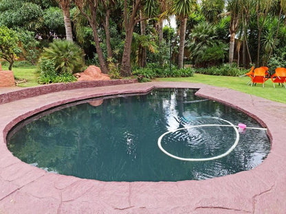Casa De Jardim Guesthouse Zwartkop Centurion Gauteng South Africa Palm Tree, Plant, Nature, Wood, Garden, Swimming Pool