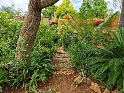 Casa De Jardim Guesthouse Zwartkop Centurion Gauteng South Africa Plant, Nature, Tree, Wood, Garden
