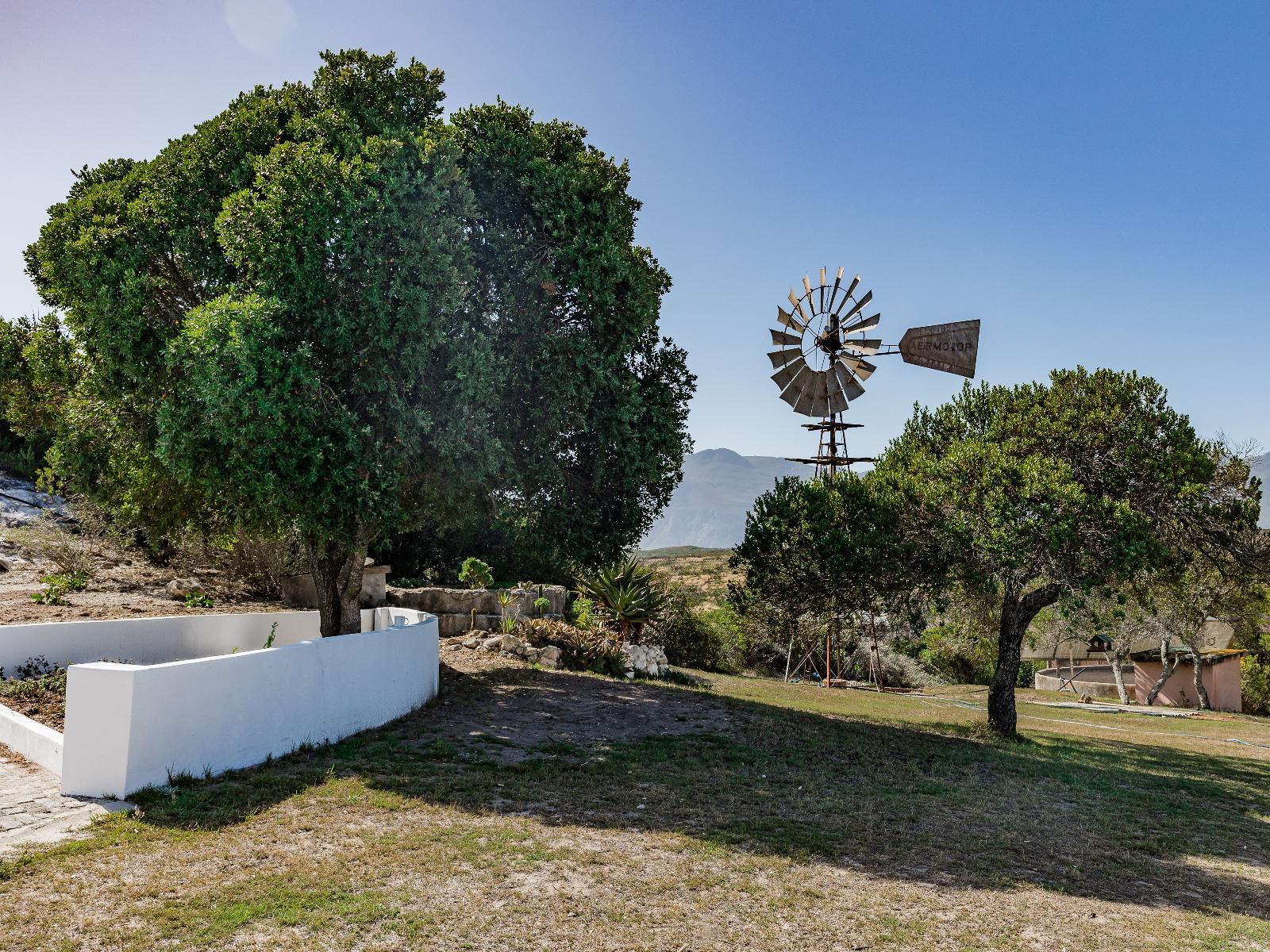 Casa D'Italo, Plant, Nature