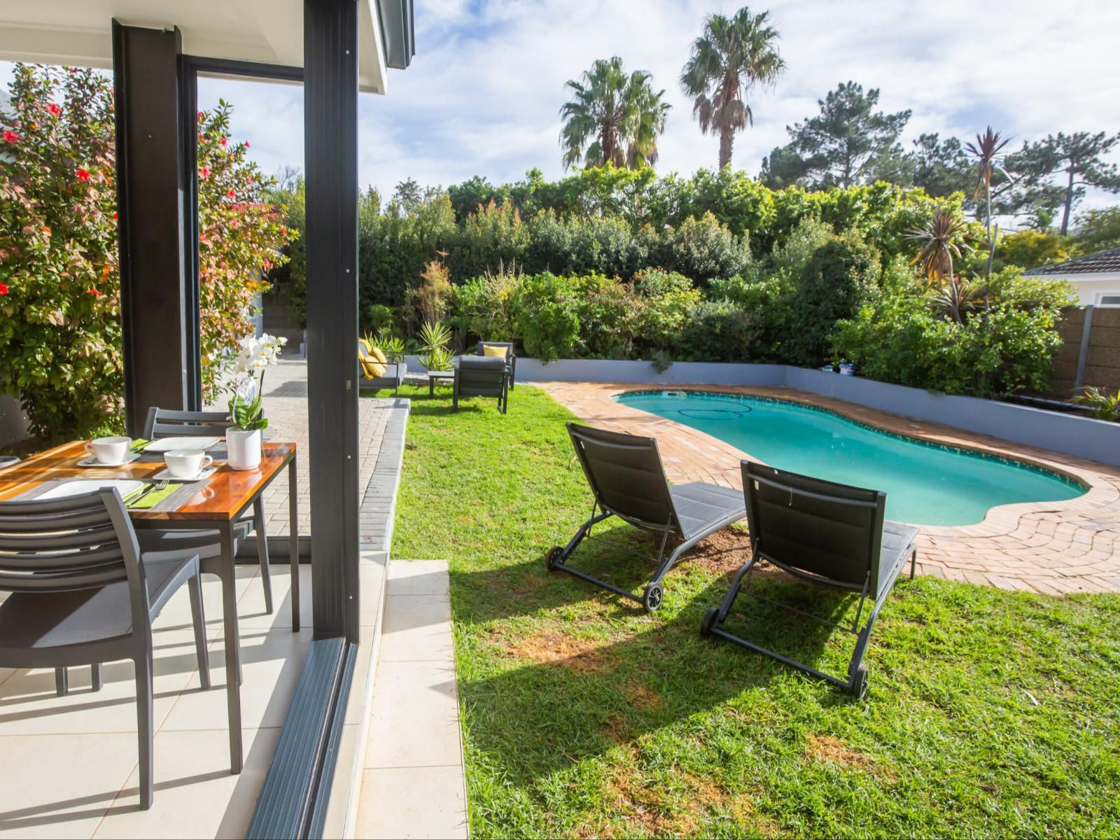 Casa Ilanga Guesthouse Bene Somerset West Western Cape South Africa Palm Tree, Plant, Nature, Wood, Garden, Swimming Pool