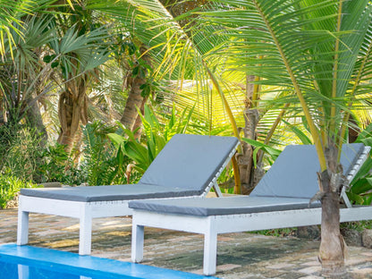 Casa Malcampo, Beach, Nature, Sand, Palm Tree, Plant, Wood, Swimming Pool