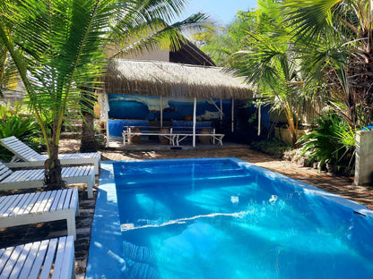 Casa Malcampo, Palm Tree, Plant, Nature, Wood, Swimming Pool