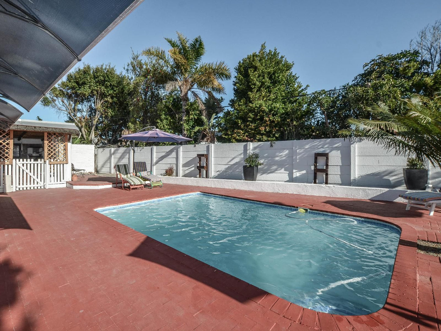 Casa Milner Guest House, Palm Tree, Plant, Nature, Wood, Swimming Pool