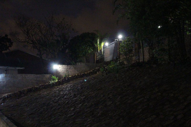 Casa On The Bluff The Bluff Durban Kwazulu Natal South Africa Unsaturated, Dark, Palm Tree, Plant, Nature, Wood