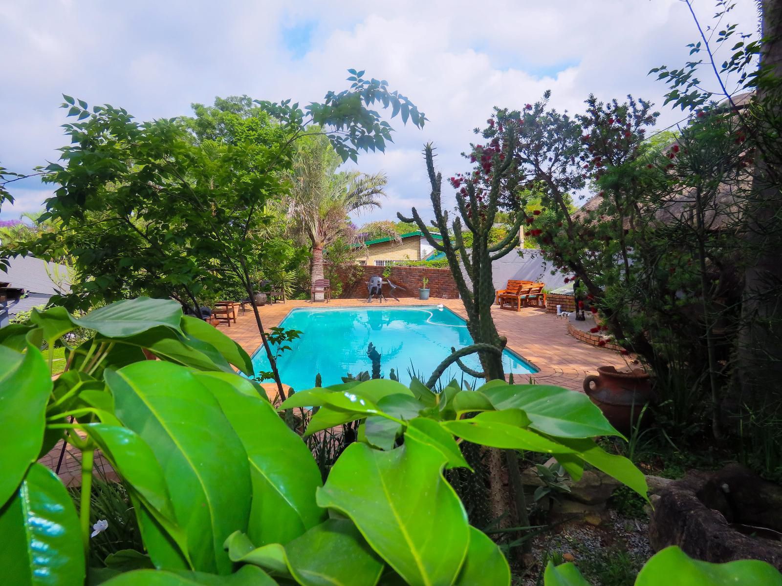 Casa Palmeira Sonheuwel Nelspruit Mpumalanga South Africa Complementary Colors, Palm Tree, Plant, Nature, Wood, Garden, Swimming Pool