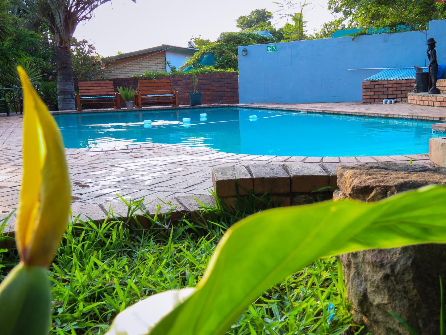 Casa Palmeira Sonheuwel Nelspruit Mpumalanga South Africa Complementary Colors, Swimming Pool