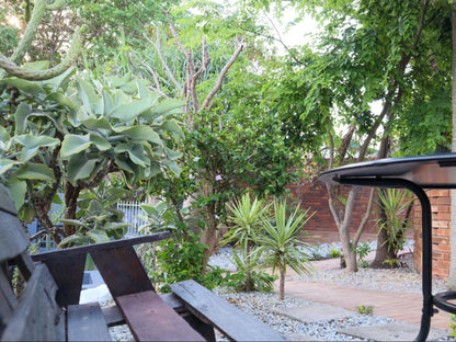 Casa Palmeira Guesthouse, Plant, Nature, Garden