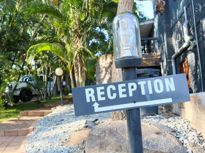 Casa Palmeira Guesthouse, Palm Tree, Plant, Nature, Wood, Sign