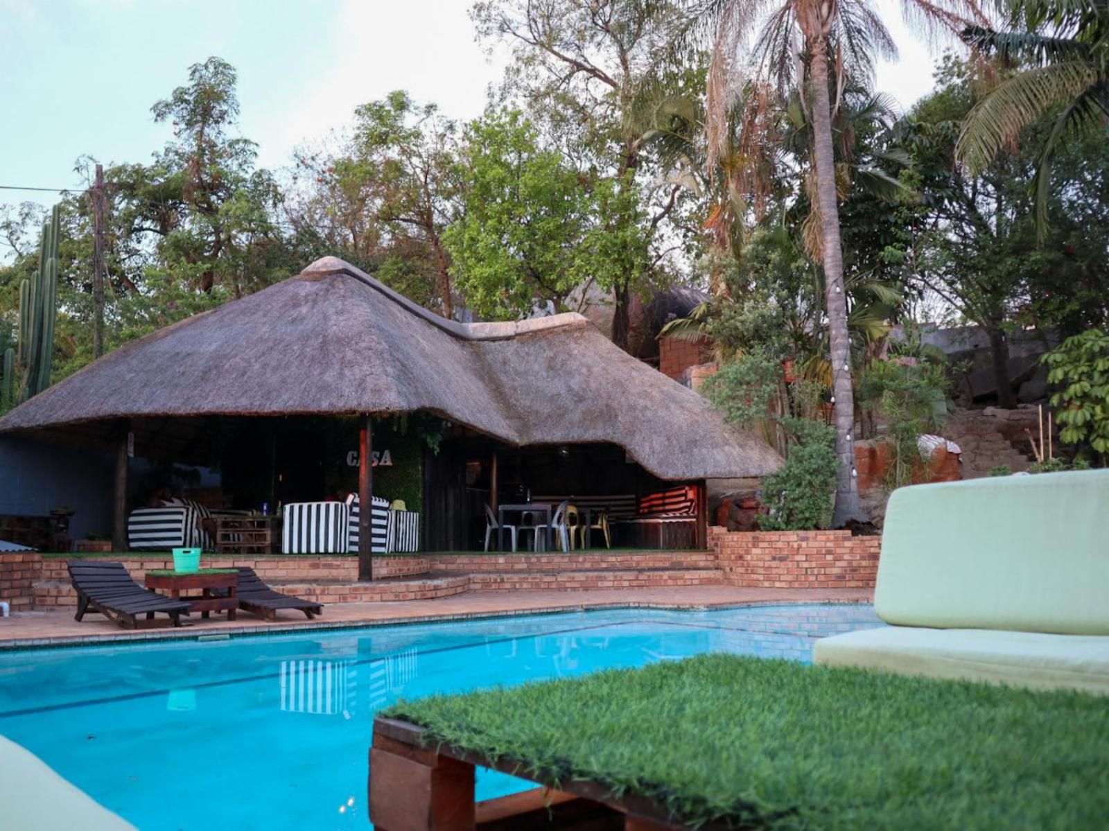 Casa Palmeira Guesthouse, Palm Tree, Plant, Nature, Wood, Swimming Pool