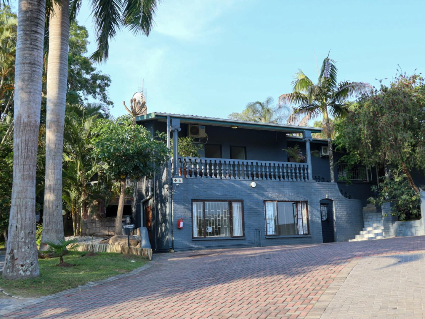 Casa Palmeira Guesthouse, House, Building, Architecture, Palm Tree, Plant, Nature, Wood