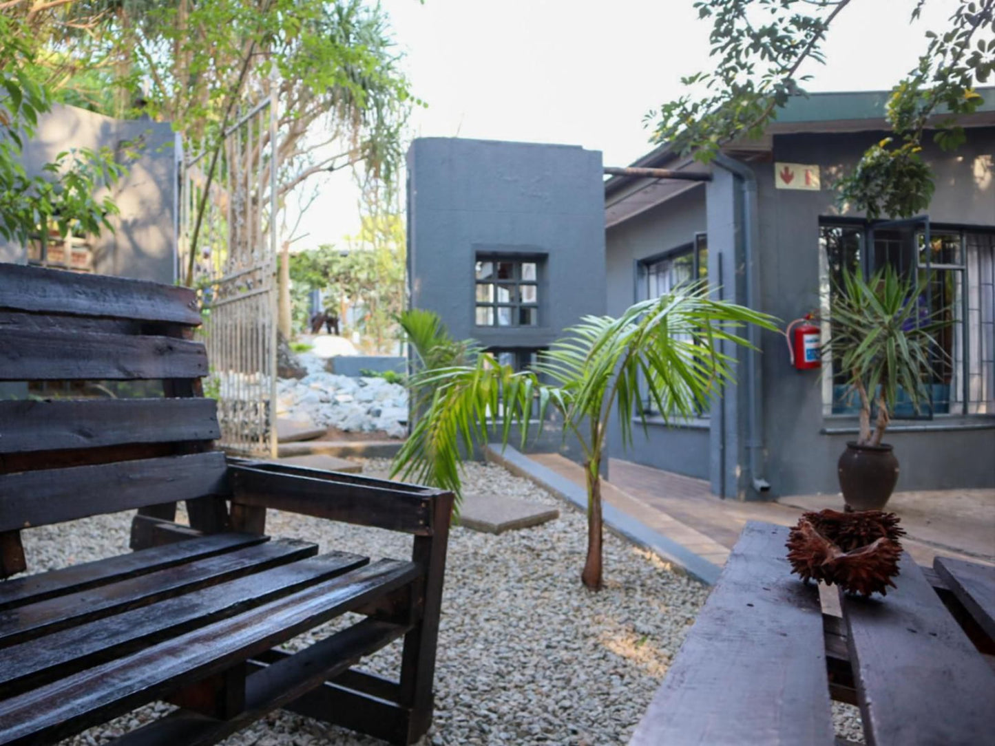 Casa Palmeira Guesthouse, House, Building, Architecture, Palm Tree, Plant, Nature, Wood