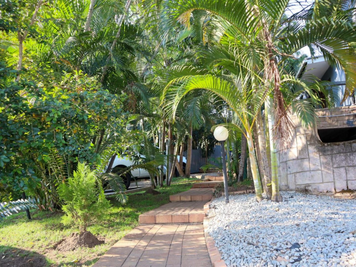 Casa Palmeira Guesthouse, Palm Tree, Plant, Nature, Wood, Garden