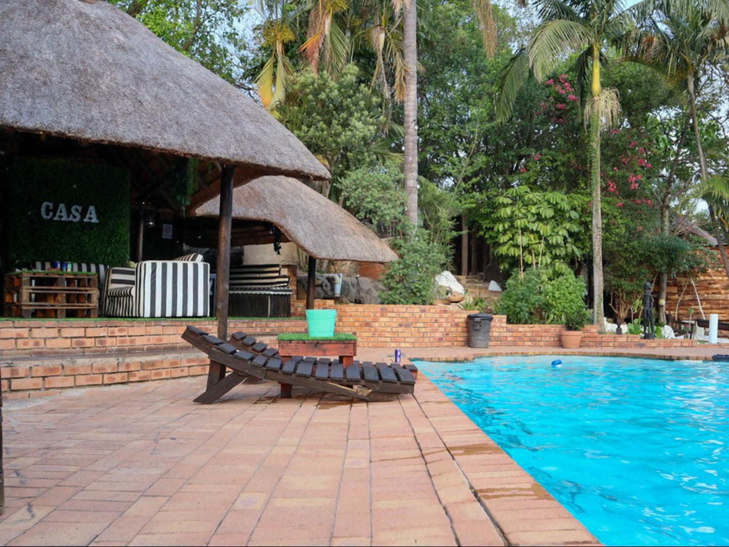 Casa Palmeira Guesthouse, Palm Tree, Plant, Nature, Wood, Swimming Pool