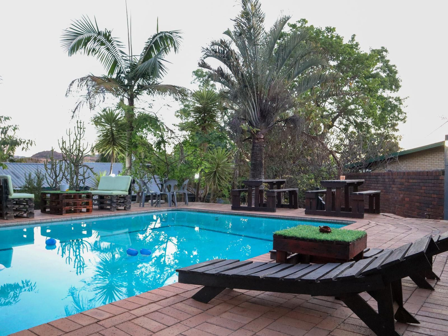 Casa Palmeira Guesthouse, Palm Tree, Plant, Nature, Wood, Swimming Pool