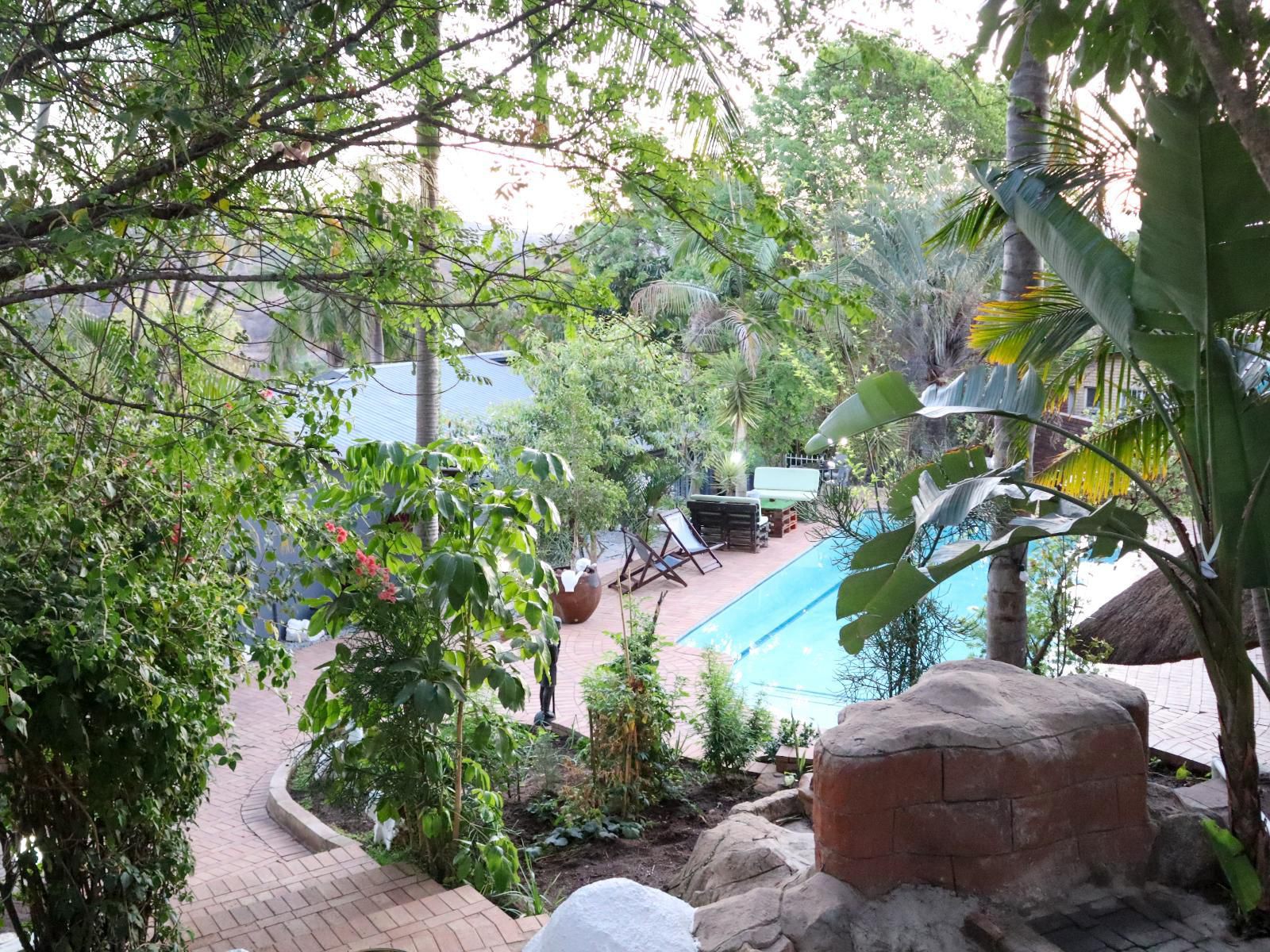 Casa Palmeira Guesthouse, Palm Tree, Plant, Nature, Wood, Garden, Swimming Pool