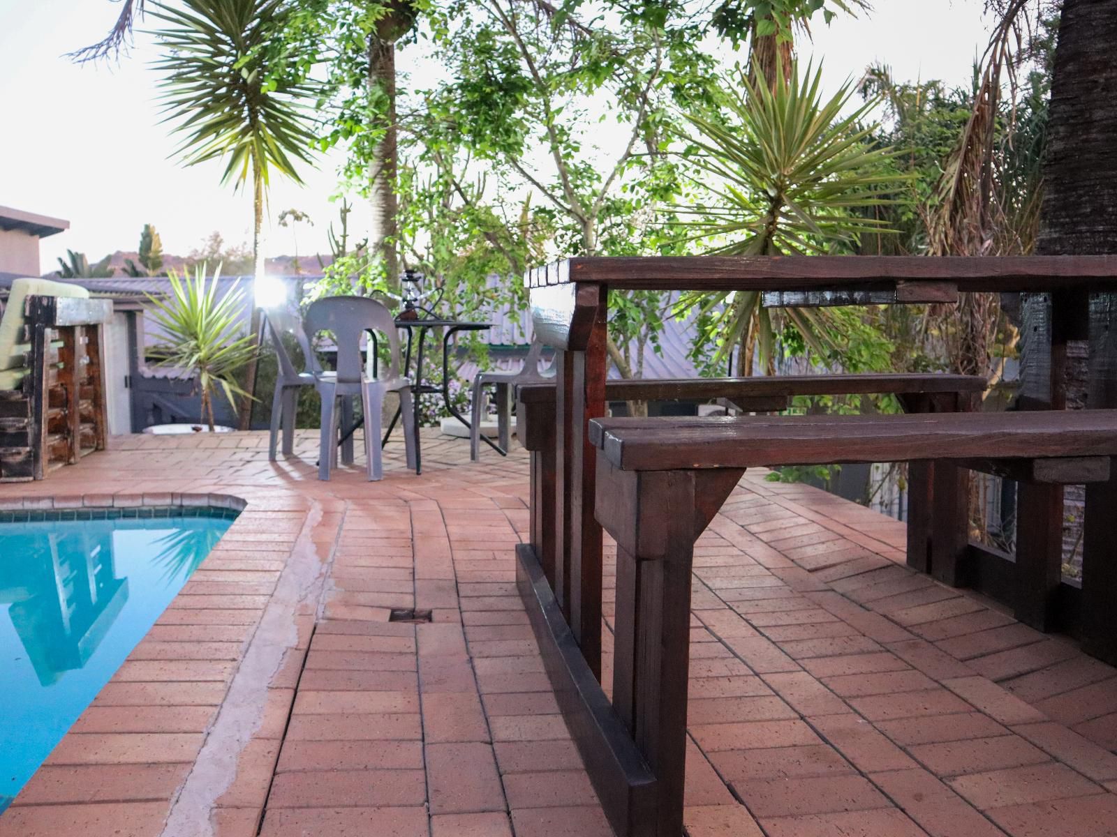 Casa Palmeira Guesthouse, Palm Tree, Plant, Nature, Wood, Swimming Pool