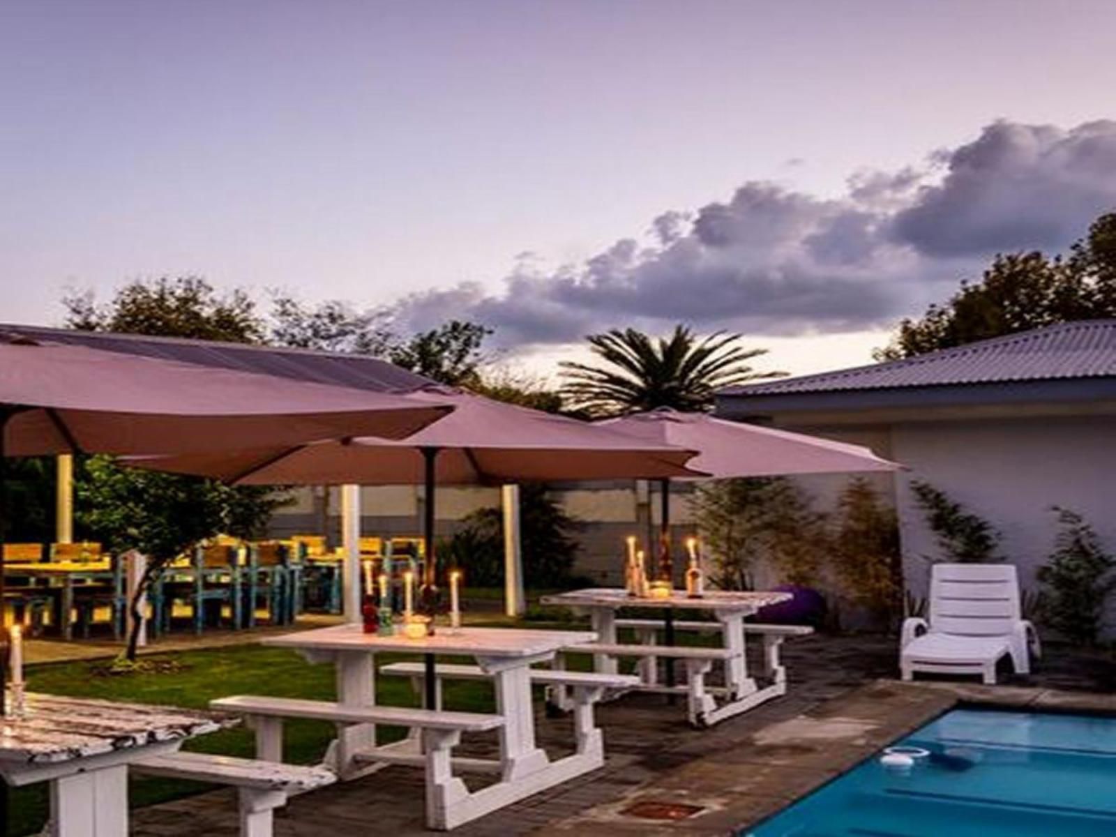 Casa Cara Guest House Parys Free State South Africa Palm Tree, Plant, Nature, Wood, Pavilion, Architecture, Swimming Pool