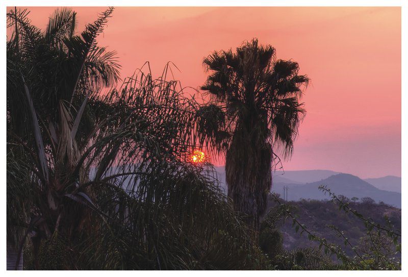 Casa Marcello Nelspruit Mpumalanga South Africa Palm Tree, Plant, Nature, Wood, Sky, Sunset