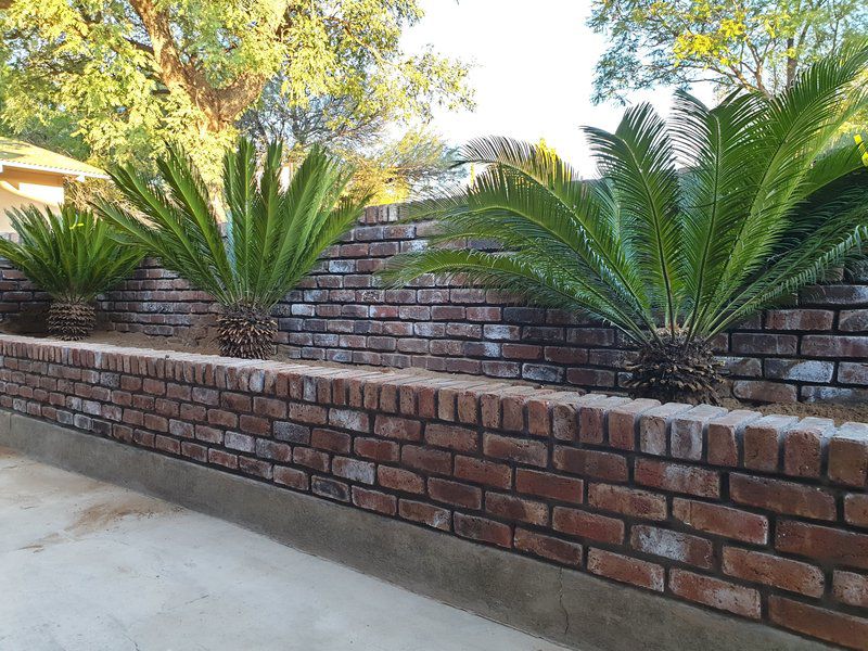 Casamere Guest House Vanderkloof Northern Cape South Africa Palm Tree, Plant, Nature, Wood, Wall, Architecture, Brick Texture, Texture, Garden