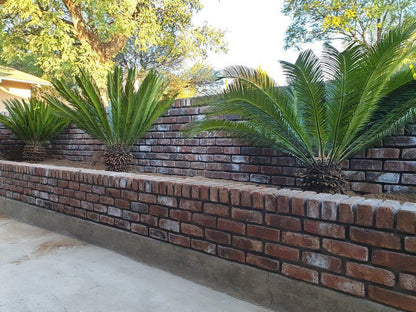 Casamere Guest House Vanderkloof Northern Cape South Africa Palm Tree, Plant, Nature, Wood, Wall, Architecture, Brick Texture, Texture, Garden