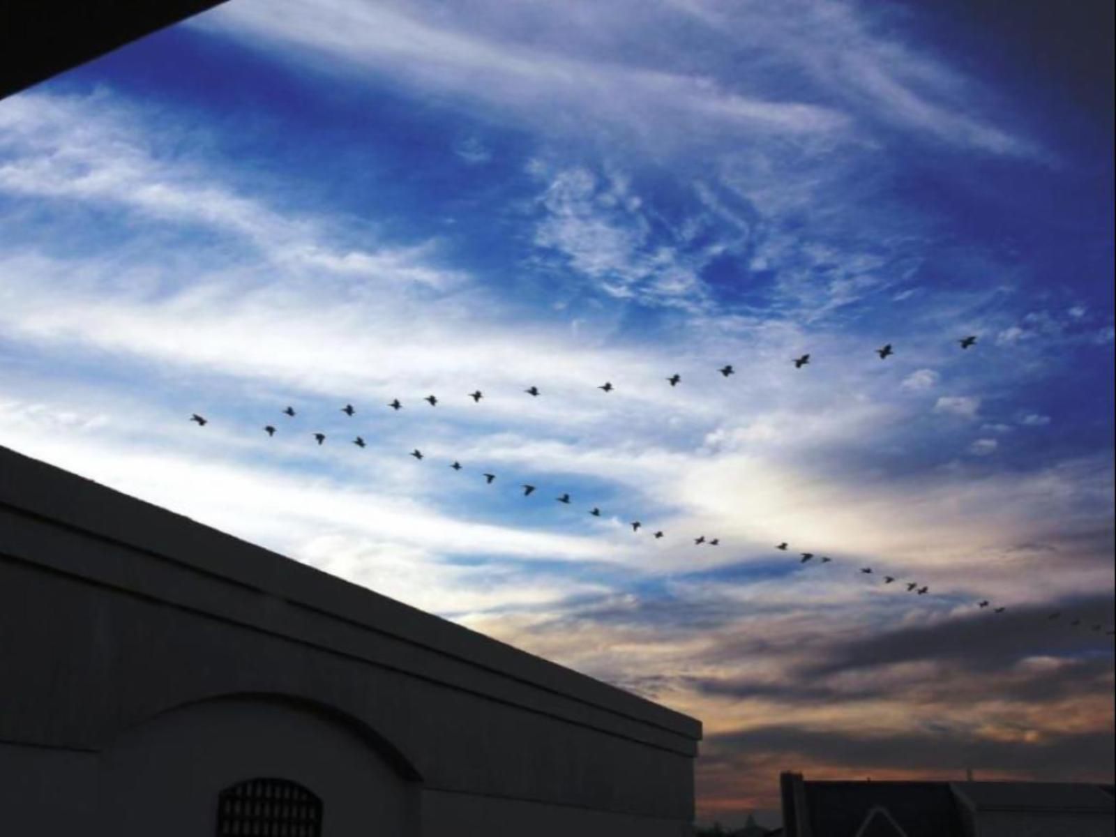 Casa Mia Guest House Table View Blouberg Western Cape South Africa Sky, Nature, Clouds