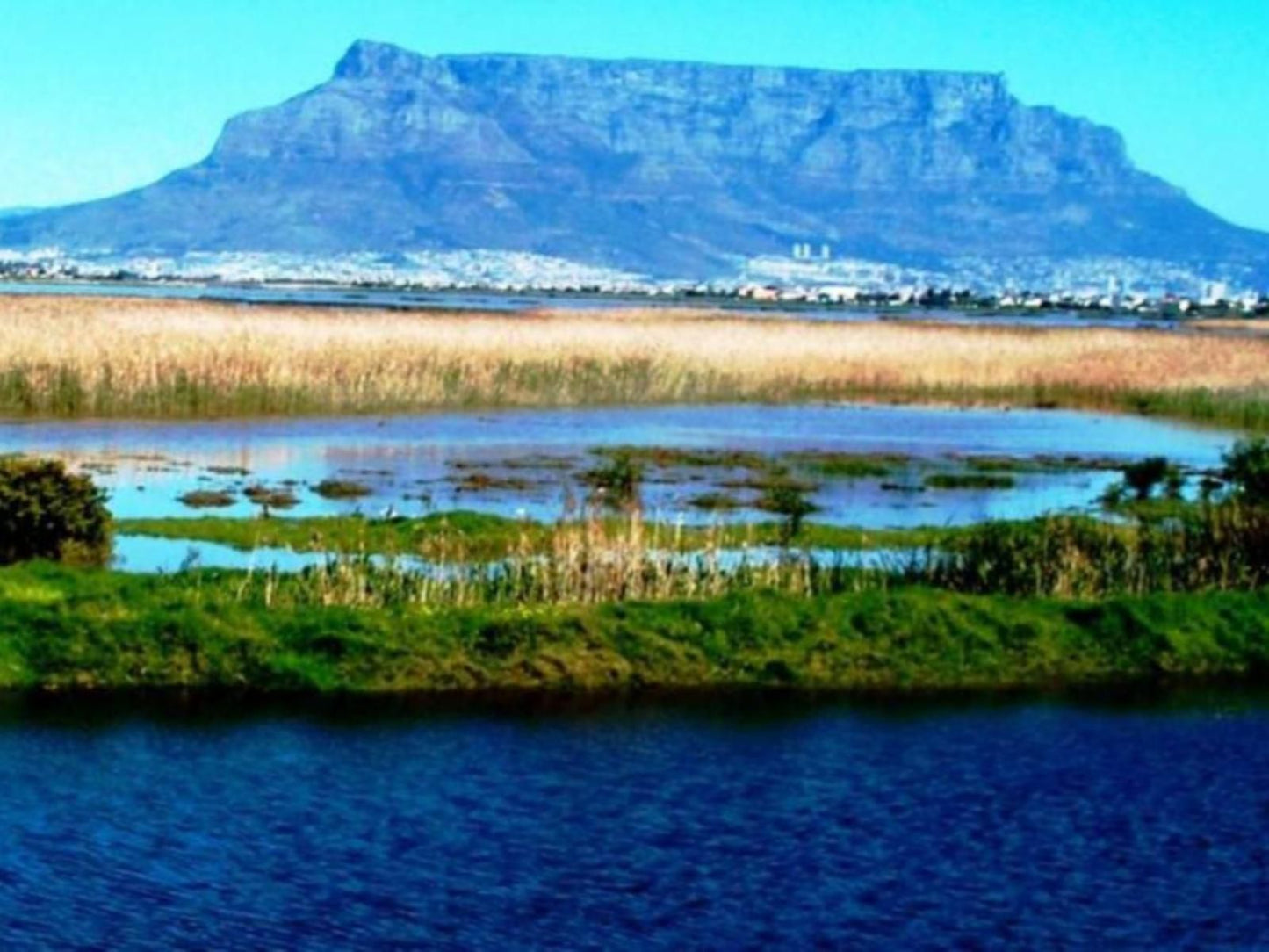 Casa Mia Guest House Table View Blouberg Western Cape South Africa Complementary Colors, Colorful, Nature