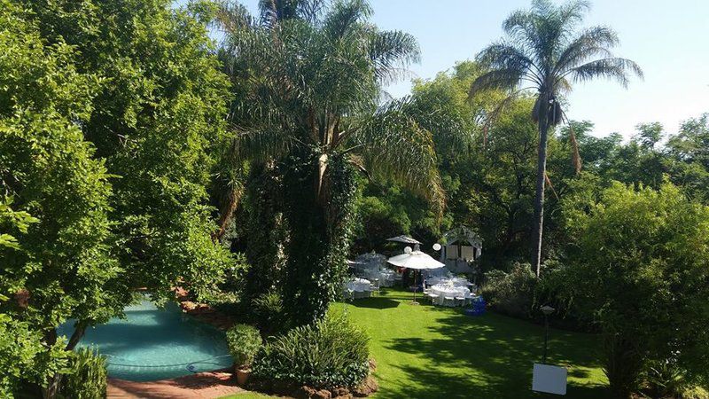 Casa Mia Guest House Cullinan Gauteng South Africa Palm Tree, Plant, Nature, Wood, Garden, Swimming Pool