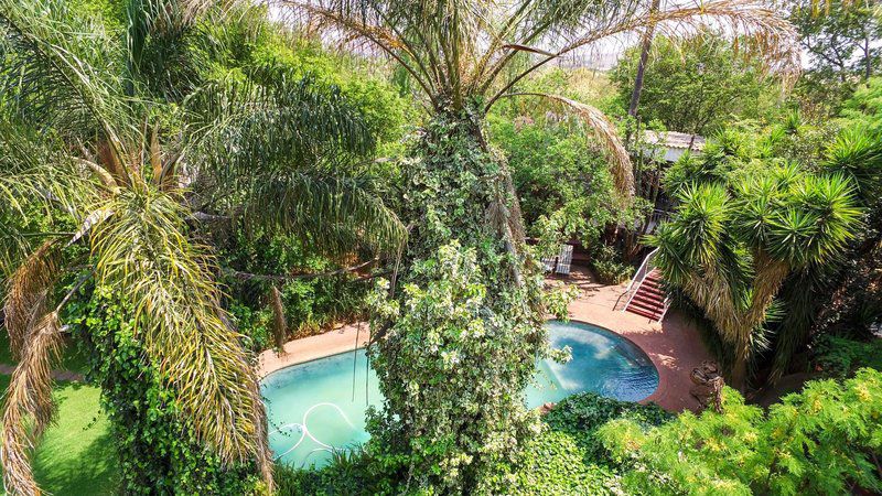 Casa Mia Guest House Cullinan Gauteng South Africa Palm Tree, Plant, Nature, Wood, Garden, Swimming Pool