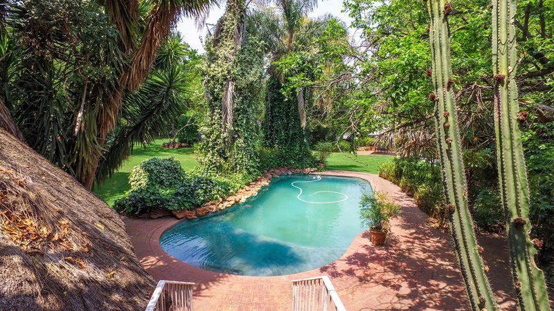 Casa Mia Guest House Cullinan Gauteng South Africa Palm Tree, Plant, Nature, Wood, Garden, Swimming Pool