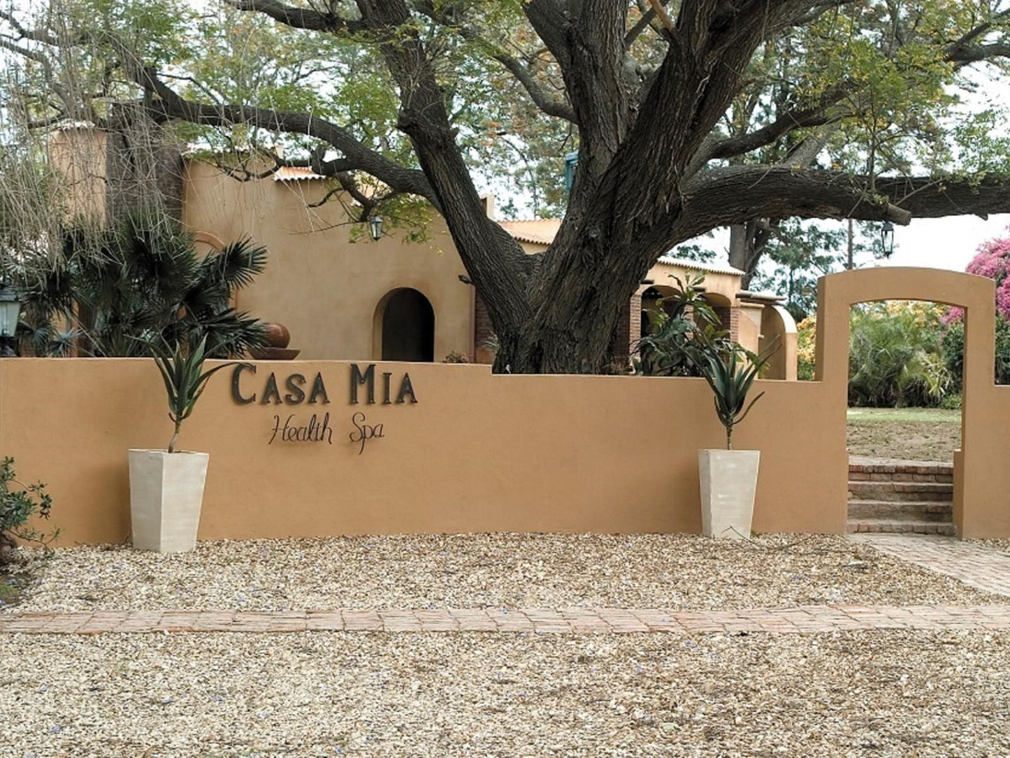 Casa Mia Health Spa And Guesthouse Addo Village Eastern Cape South Africa Palm Tree, Plant, Nature, Wood