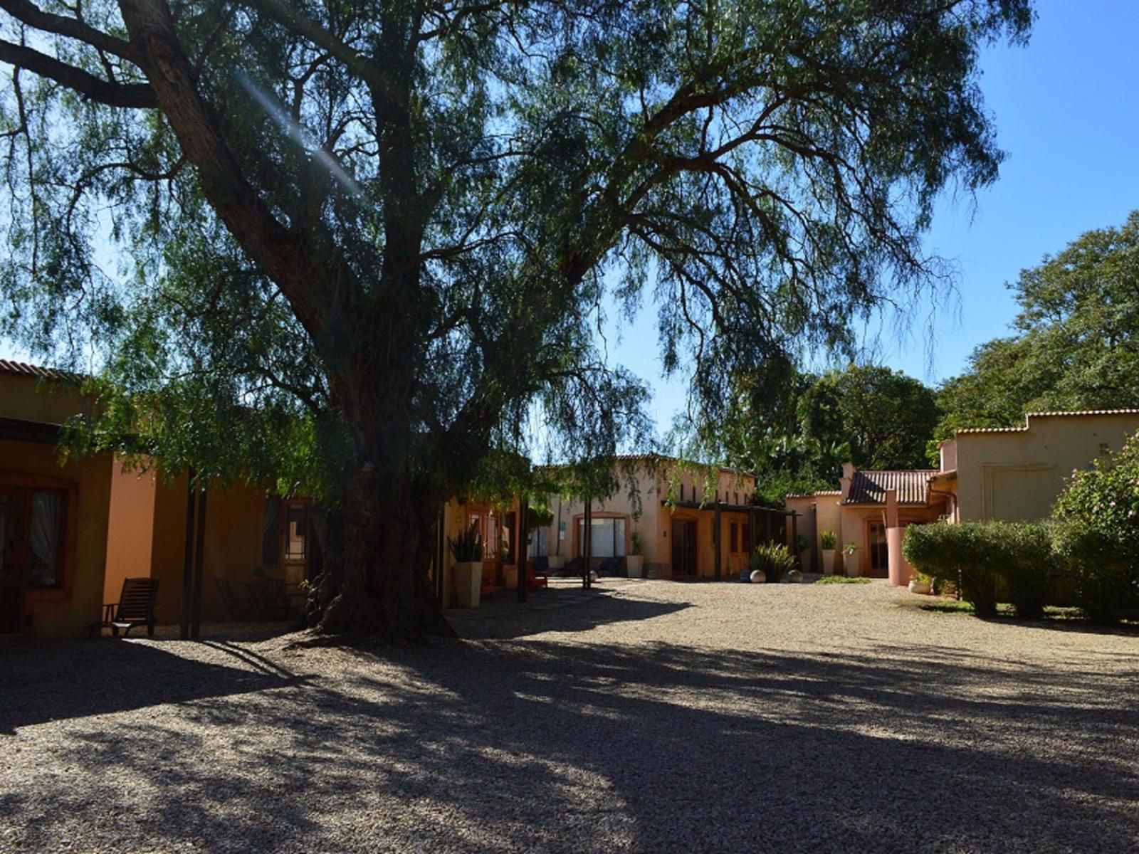 Casa Mia Health Spa And Guesthouse Addo Village Eastern Cape South Africa House, Building, Architecture, Palm Tree, Plant, Nature, Wood