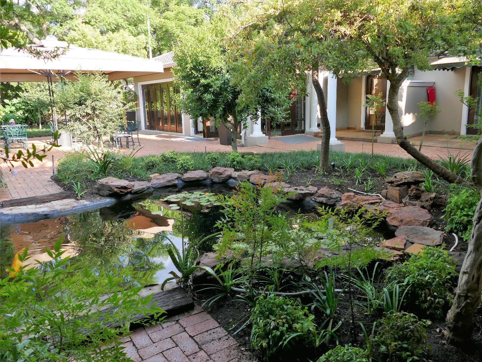 174 Premier Guest House Waterkloof Pretoria Tshwane Gauteng South Africa Plant, Nature, Tree, Wood, Garden