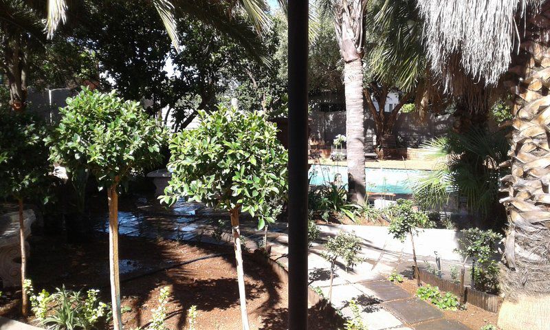 Casita Selati Guesthouse Fochville Gauteng South Africa Palm Tree, Plant, Nature, Wood, Garden