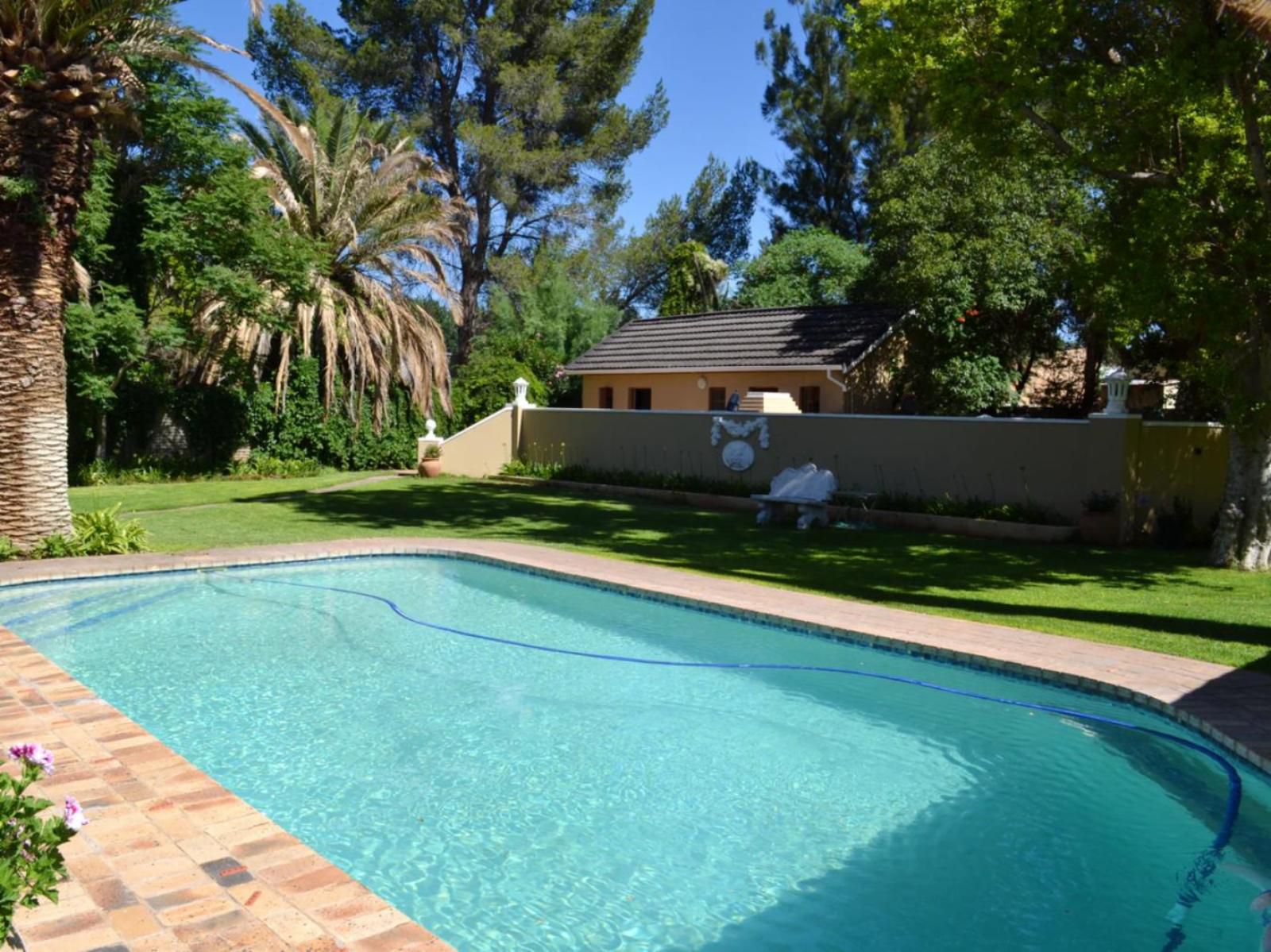 Castello Guest House Vryburg North West Province South Africa Complementary Colors, House, Building, Architecture, Palm Tree, Plant, Nature, Wood, Garden, Swimming Pool