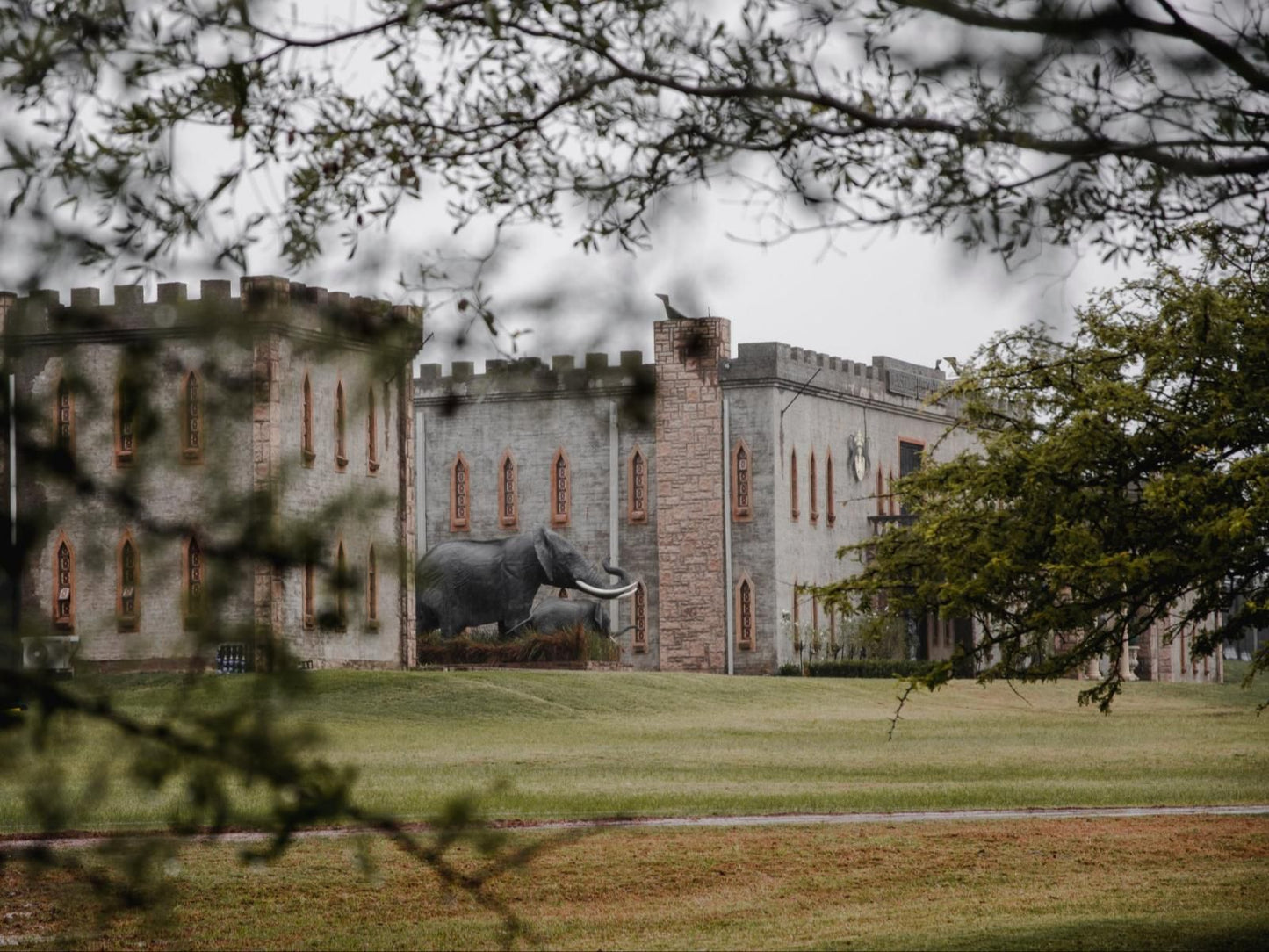 Castle De Wildt, Castle, Building, Architecture, Animal