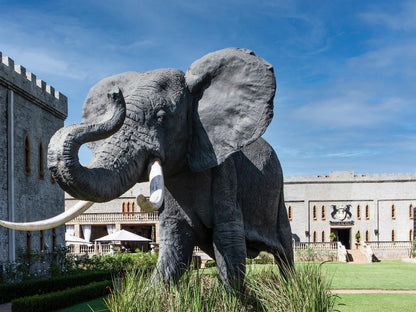 Castle De Wildt, Face, Person, One Face, Portrait, Elephant, Mammal, Animal, Herbivore, Profile Face