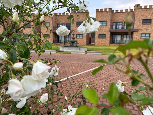 Castle Walk Estate, House, Building, Architecture, Plant, Nature, Rose, Flower