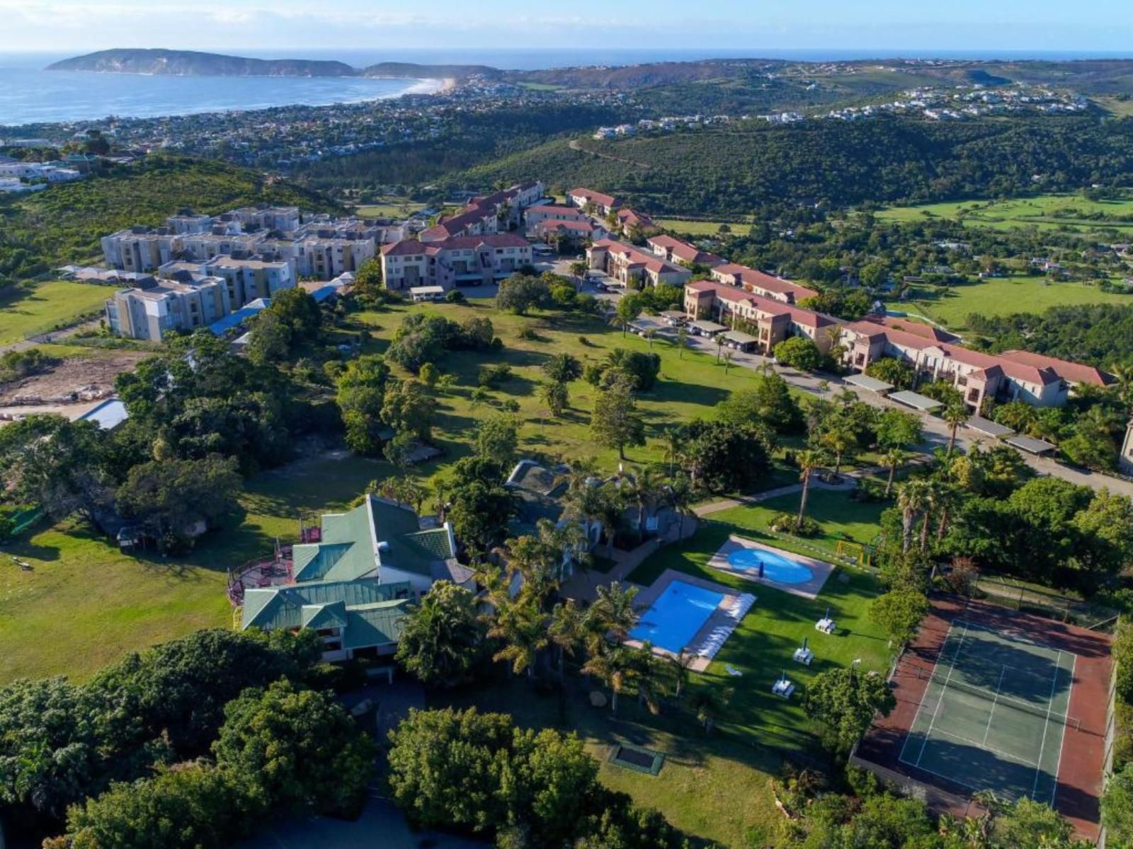 Castleton Plettenberg Bay Plettenberg Bay Western Cape South Africa Palm Tree, Plant, Nature, Wood, Aerial Photography