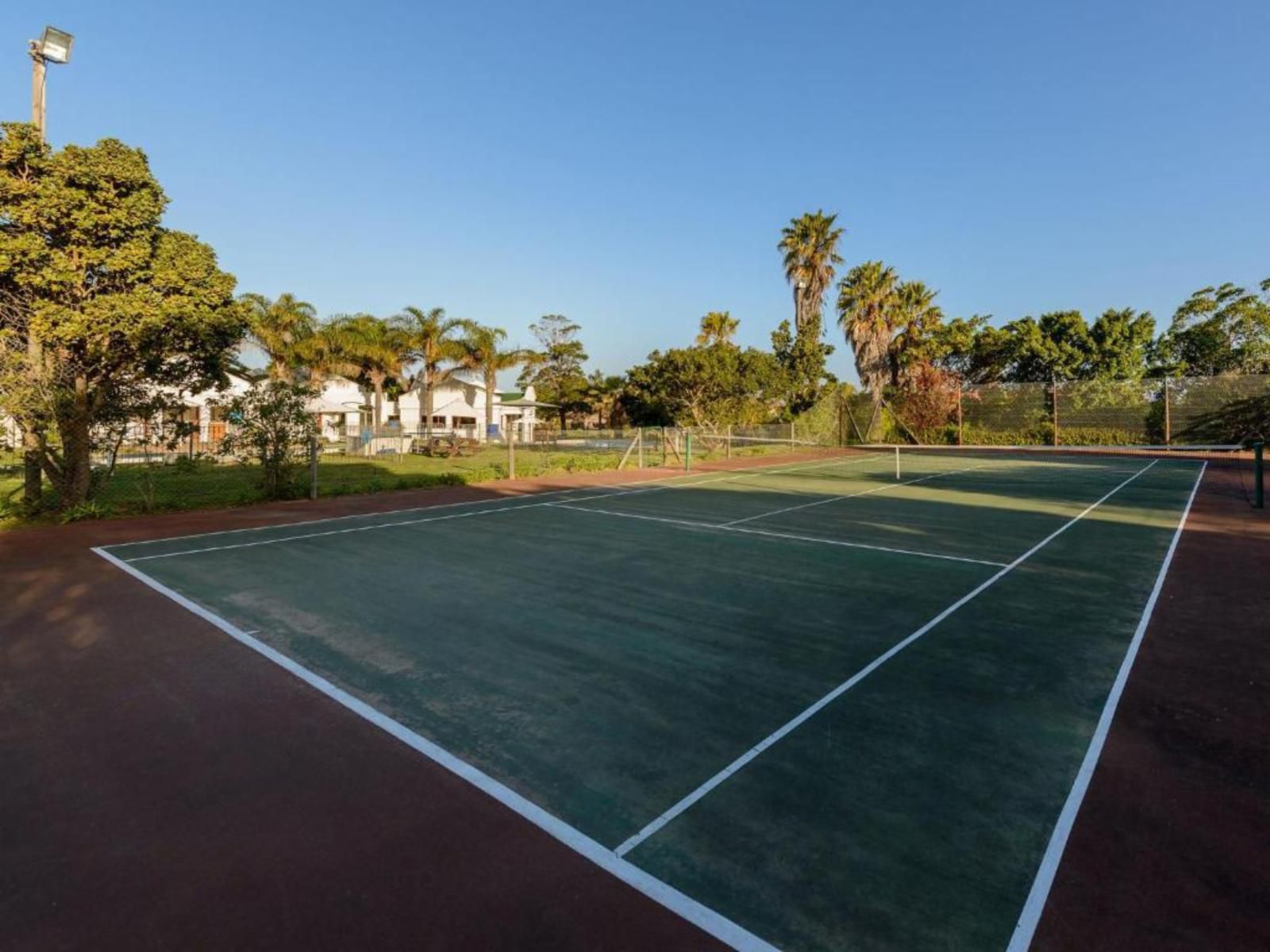 Castleton Plettenberg Bay Plettenberg Bay Western Cape South Africa Palm Tree, Plant, Nature, Wood, Ball Game, Sport