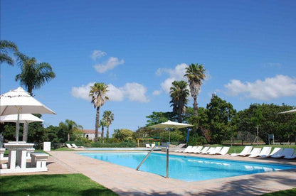 Castleton 19B Plettenberg Bay Plettenberg Bay Western Cape South Africa Palm Tree, Plant, Nature, Wood, Swimming Pool