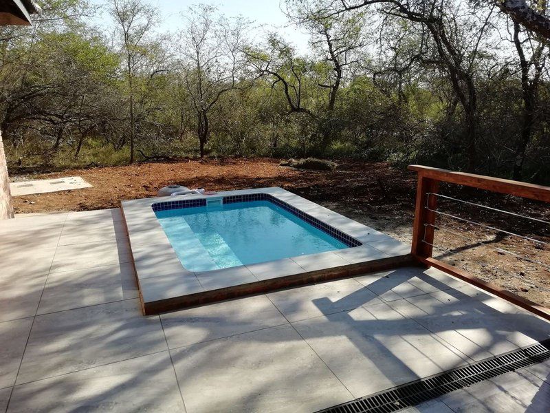 Catscorner Marloth Park Mpumalanga South Africa Swimming Pool