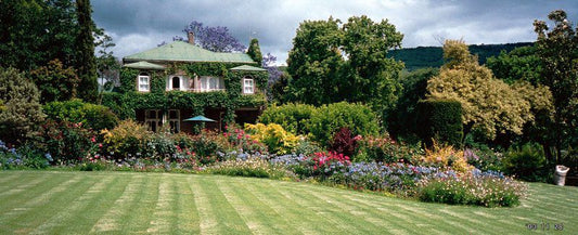 Cavers Country Home Bedford Eastern Cape South Africa House, Building, Architecture, Plant, Nature, Garden