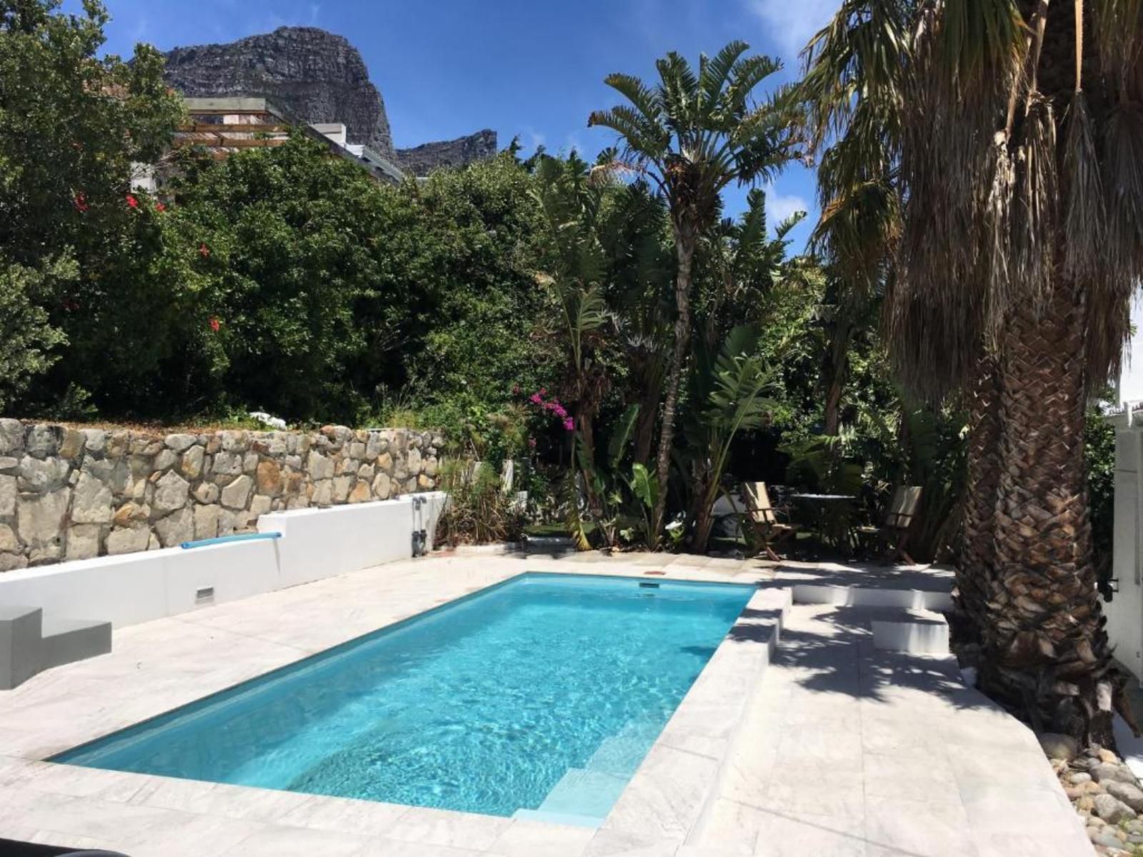 Cbay58 Bakoven Cape Town Western Cape South Africa Palm Tree, Plant, Nature, Wood, Swimming Pool