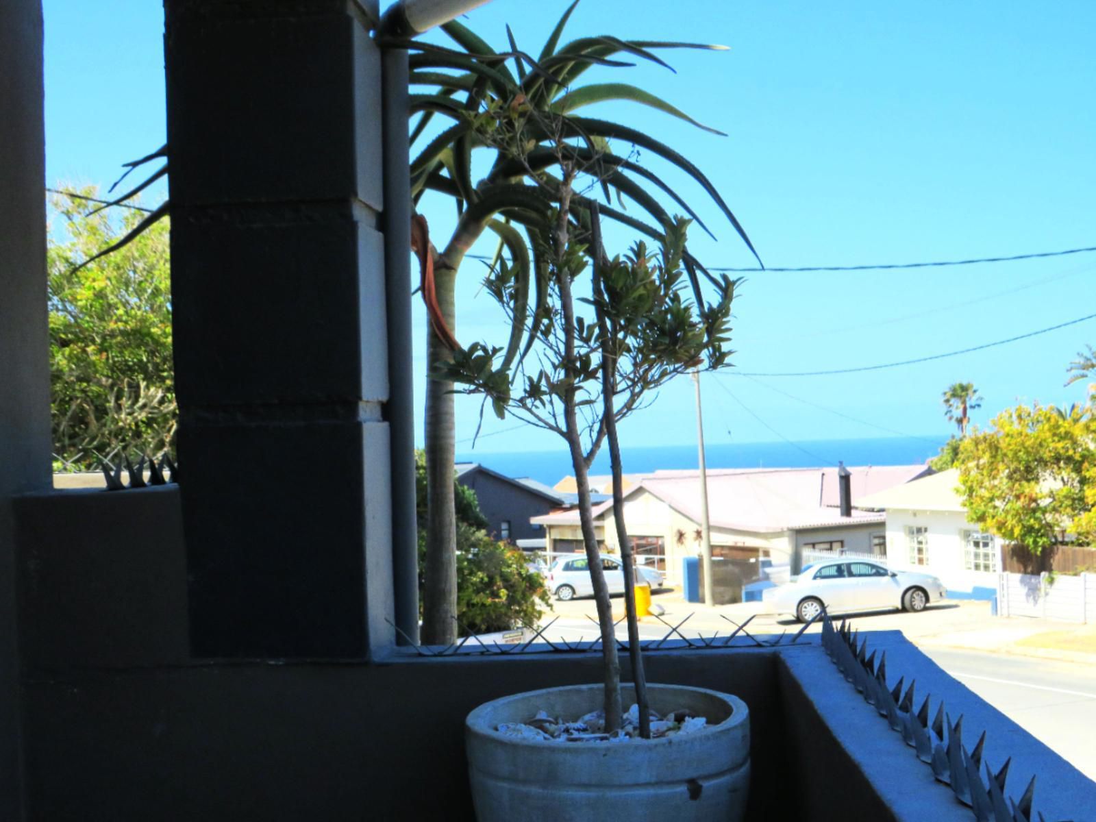 Cbs Accommodation, Palm Tree, Plant, Nature, Wood