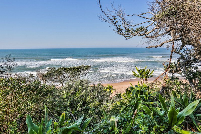 Cecelia S Holiday Manor Zinkwazi Beach Nkwazi Kwazulu Natal South Africa Complementary Colors, Beach, Nature, Sand, Palm Tree, Plant, Wood, Ocean, Waters