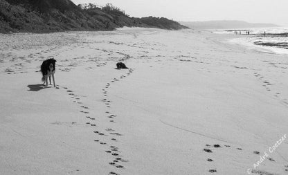 Cecelia S Holiday Manor Zinkwazi Beach Nkwazi Kwazulu Natal South Africa Colorless, Black And White, Beach, Nature, Sand