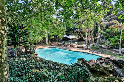 Cecelia S Holiday Manor Zinkwazi Beach Nkwazi Kwazulu Natal South Africa Palm Tree, Plant, Nature, Wood, Garden, Swimming Pool