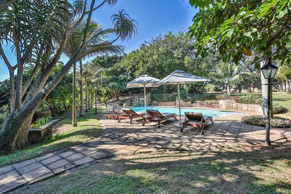 Cecelia S Holiday Manor Zinkwazi Beach Nkwazi Kwazulu Natal South Africa Beach, Nature, Sand, Palm Tree, Plant, Wood, Swimming Pool