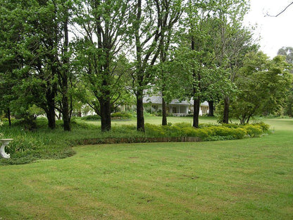 Cedar Garden Underberg Kwazulu Natal South Africa Tree, Plant, Nature, Wood, Garden